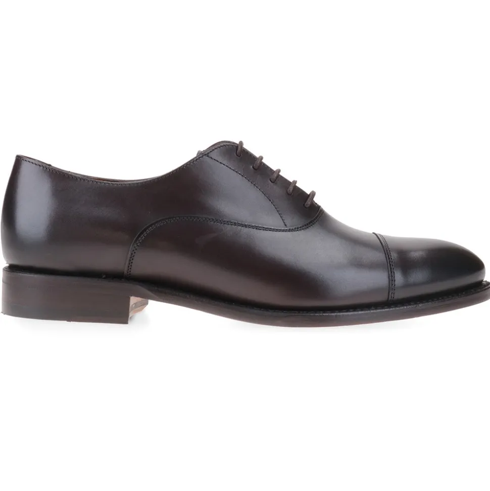 Berwick 1707 Oxford^4311-K7 NOMERA TESTA