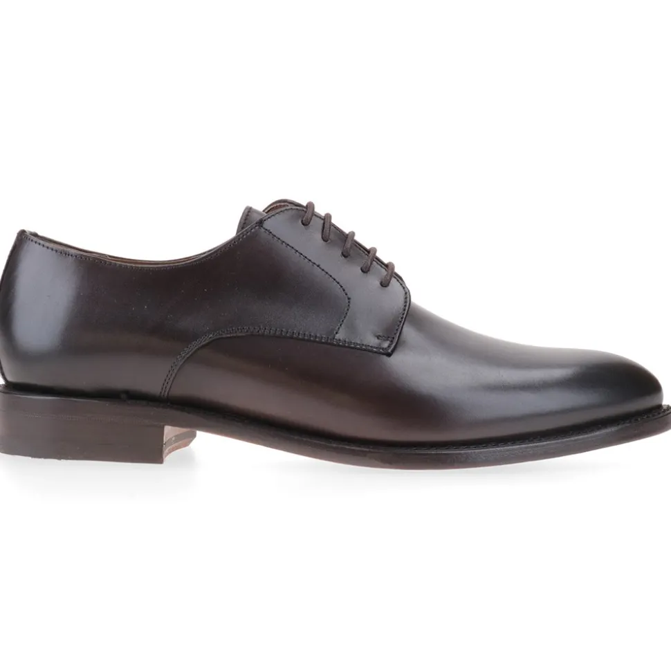 Berwick 1707 Derby^3011-K5 NOMERA TESTA