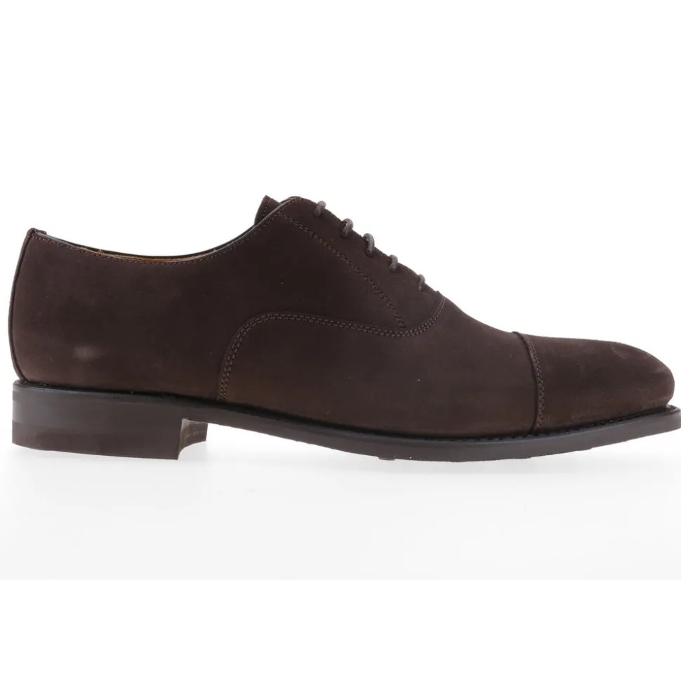 Berwick 1707 Oxford^5217-T07 SUPERBUCK 173